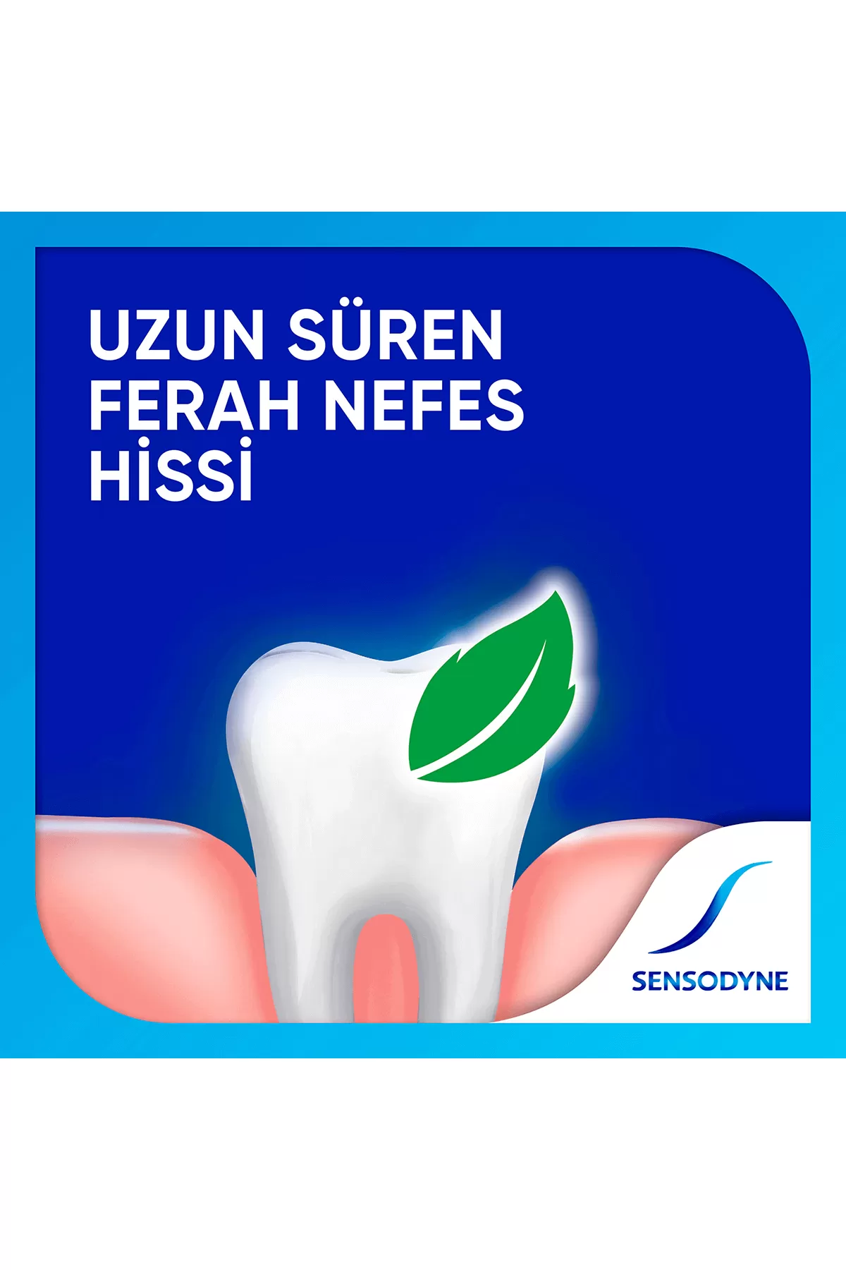 از بین بردن پلاک دندان محافظت کننده از لثه ها حاوی فلوراید  Extra Fresh سنسوداین SENSODYNE خمیر دندان