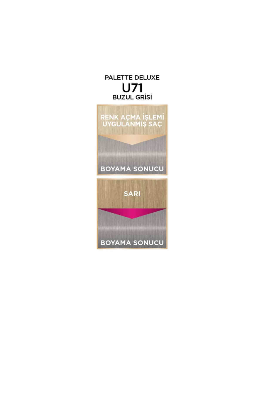 رنگ مو تقویت مو پالت Palette رنگ مو خاکستری یخچالی شماره U71